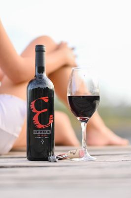 Vang đỏ EpsilonCru Reserva Malbec 2019